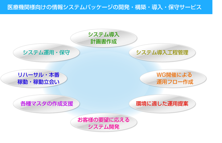 医療機関様向けの情報システムパッケージの開発・構築・導入・保守サービス